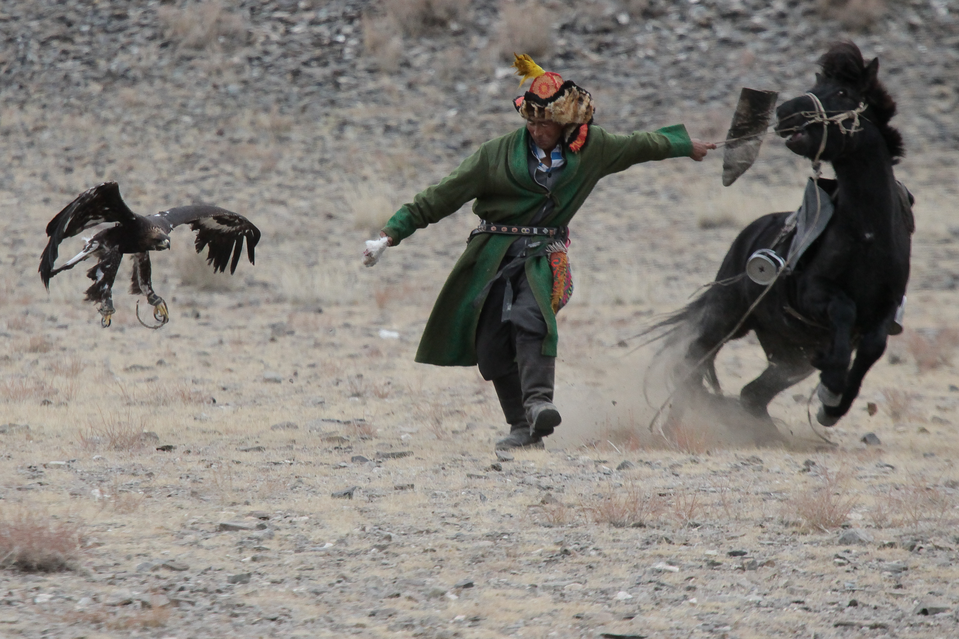 (2014) Mongolia 9 Eagle Festival